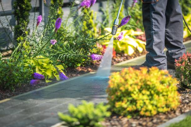 Reliable Glouster, OH  Pressure Washing Services Solutions